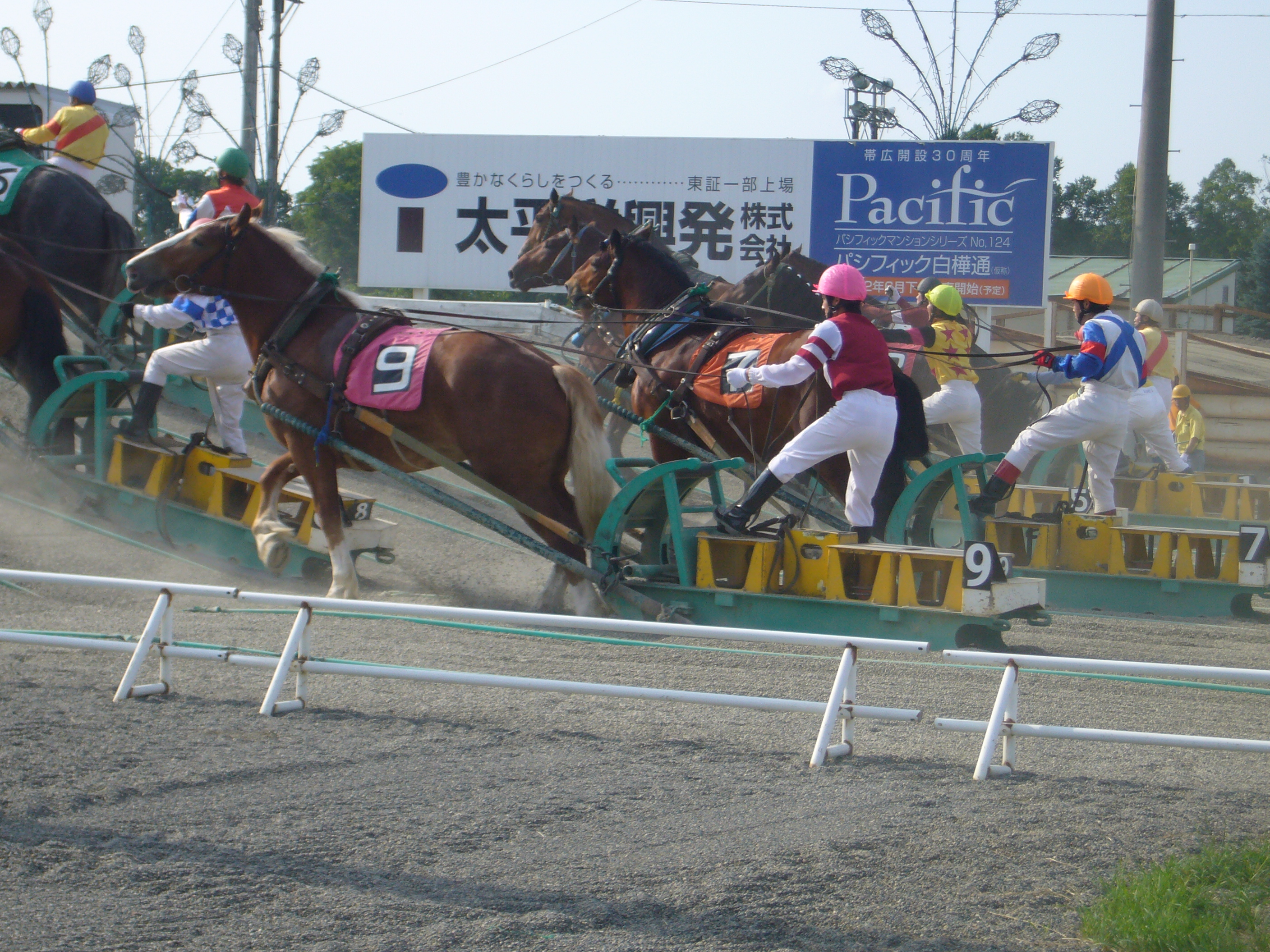 280728 北海道帯広での「ばんえい競馬」 東海同友会　稲本祐二