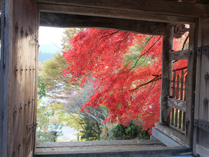 281119 中国支部倉田：教龍寺の紅葉（廿日市市）